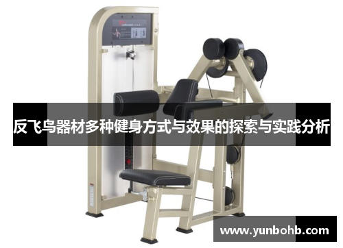 反飞鸟器材多种健身方式与效果的探索与实践分析