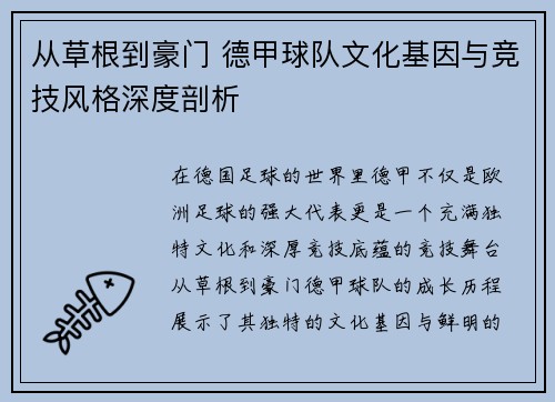 从草根到豪门 德甲球队文化基因与竞技风格深度剖析