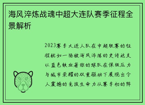 海风淬炼战魂中超大连队赛季征程全景解析
