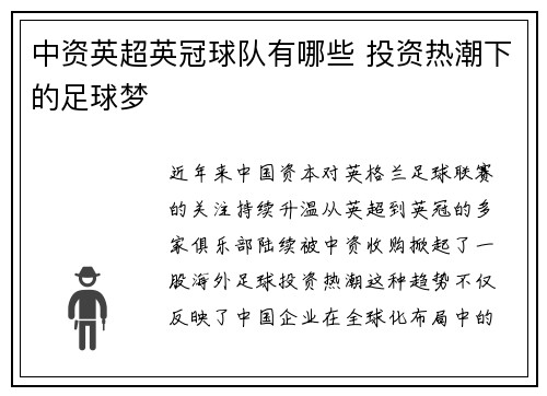 中资英超英冠球队有哪些 投资热潮下的足球梦
