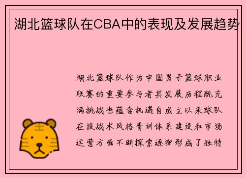 湖北篮球队在CBA中的表现及发展趋势